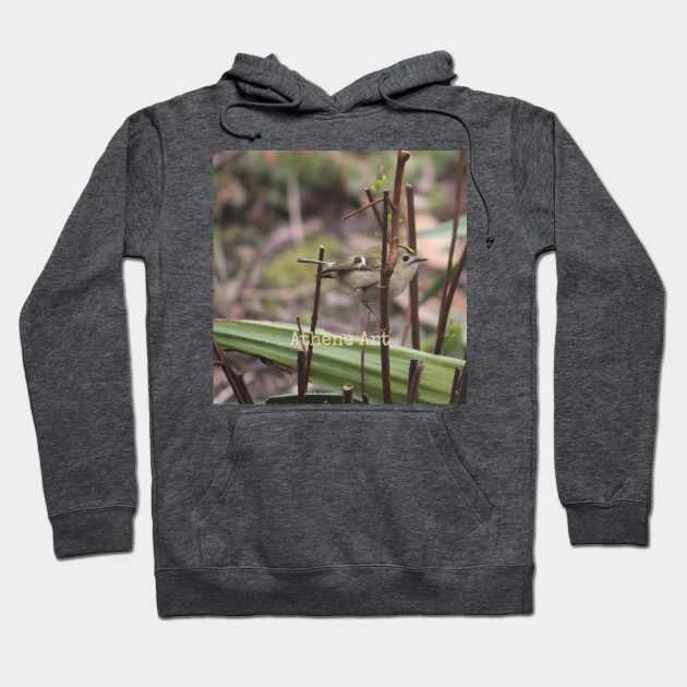 Goldcrest Bird perched on a twig Photograph Hoodie by Athene Art